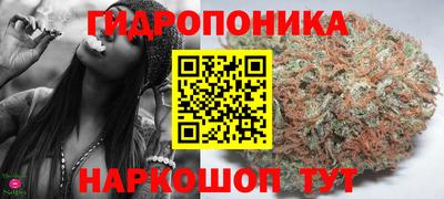 стафф Заволжье