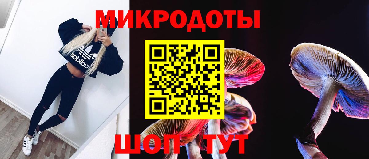 Галлюциногенные грибы Psilocybe Саянск
