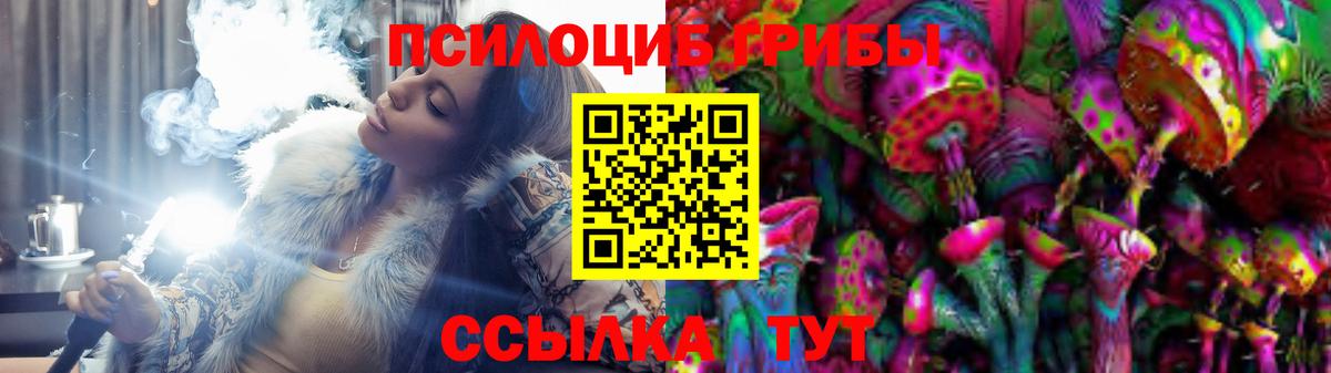 Псилоцибиновые грибы Cubensis  Вход с VPN  Саянск 
